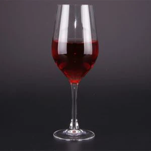 Plastic Wine Goblet Party Favors